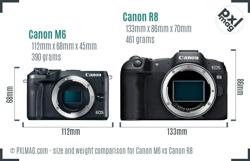 Canon M6 vs Canon R8 size comparison