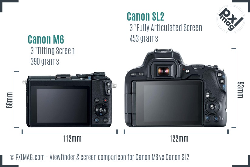 Canon M6 vs Canon SL2 Screen and Viewfinder comparison