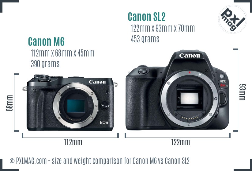 Canon M6 vs Canon SL2 size comparison