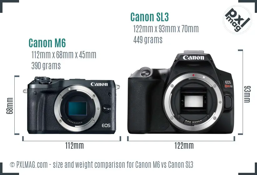 Canon M6 vs Canon SL3 size comparison