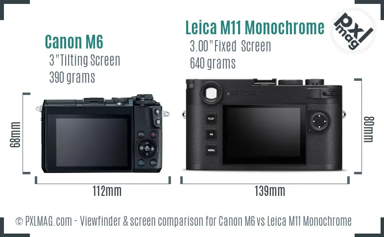 Canon M6 vs Leica M11 Monochrome Screen and Viewfinder comparison