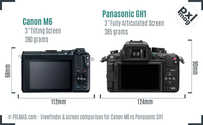 Canon M6 vs Panasonic GH1 Screen and Viewfinder comparison