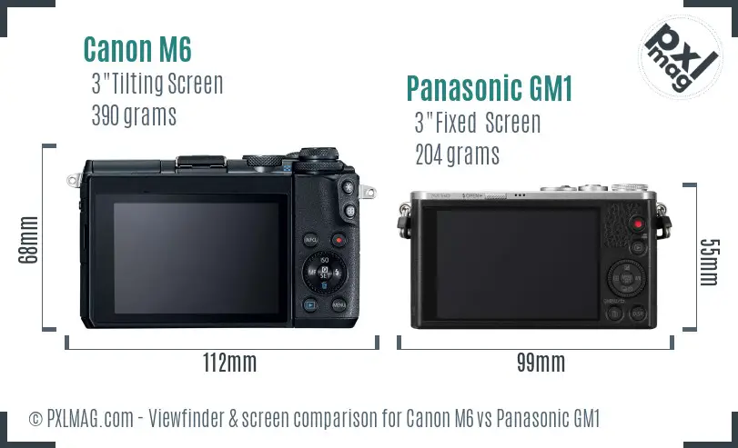 Canon M6 vs Panasonic GM1 Screen and Viewfinder comparison