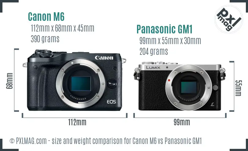 Canon M6 vs Panasonic GM1 size comparison