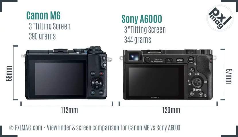 Canon M6 vs Sony A6000 Screen and Viewfinder comparison