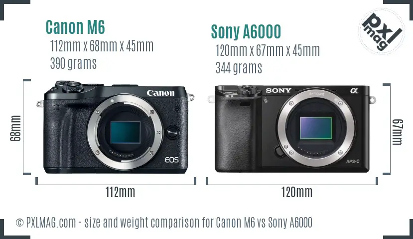 Canon M6 vs Sony A6000 size comparison