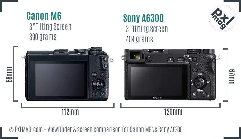 Canon M6 vs Sony A6300 Screen and Viewfinder comparison