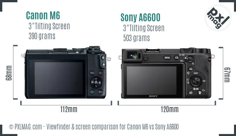 Canon M6 vs Sony A6600 Screen and Viewfinder comparison