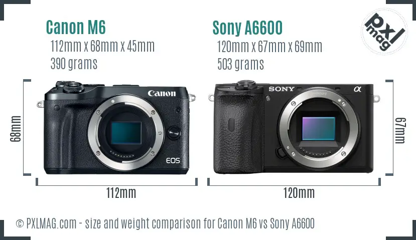 Canon M6 vs Sony A6600 size comparison
