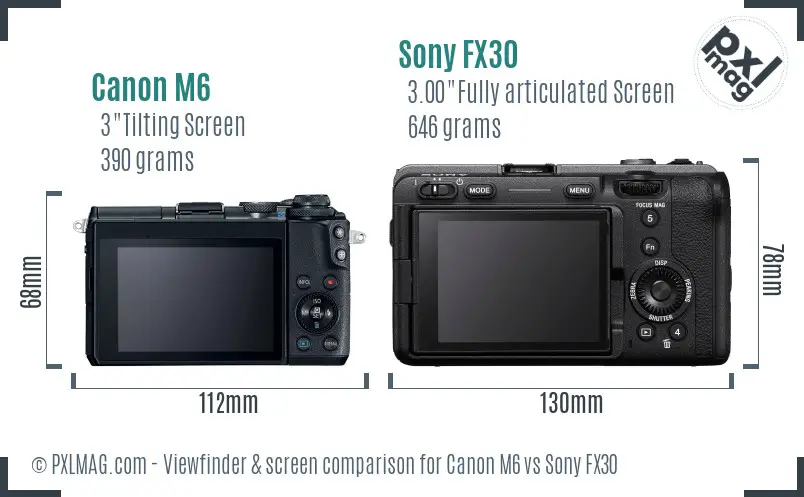 Canon M6 vs Sony FX30 Screen and Viewfinder comparison