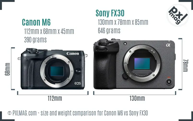 Canon M6 vs Sony FX30 size comparison