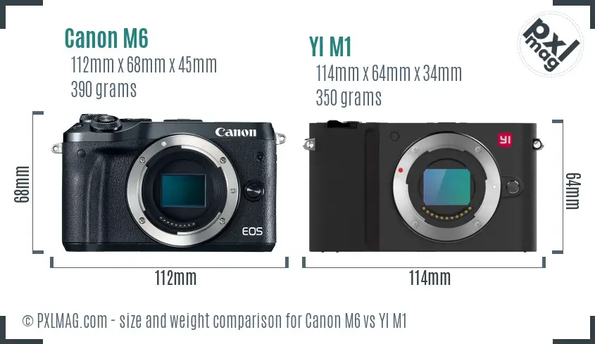 Canon M6 vs YI M1 size comparison