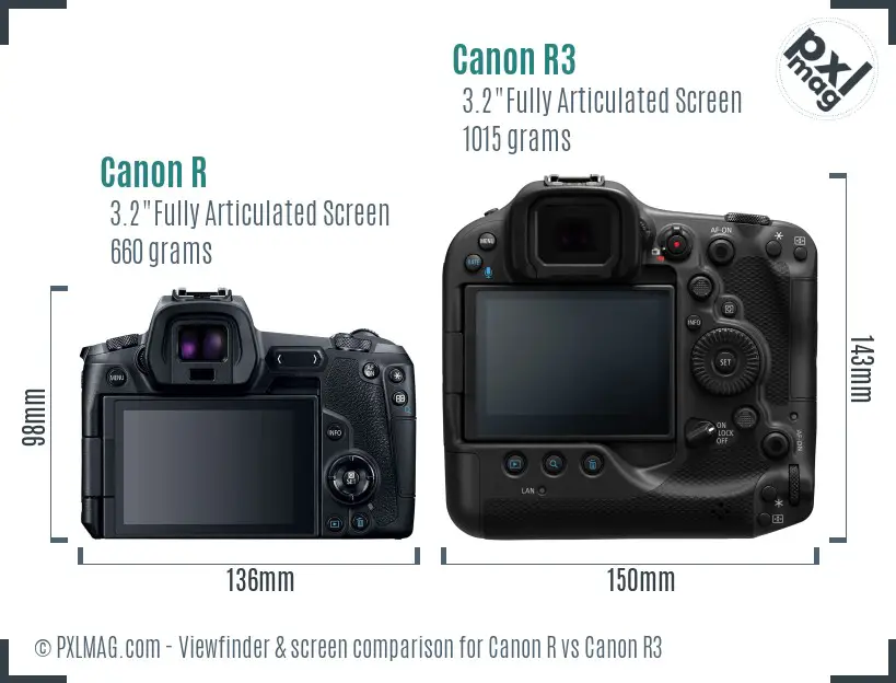 Canon R vs Canon R3 Screen and Viewfinder comparison