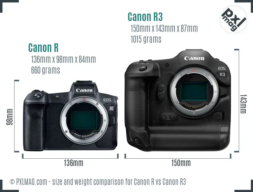 Canon R vs Canon R3 size comparison