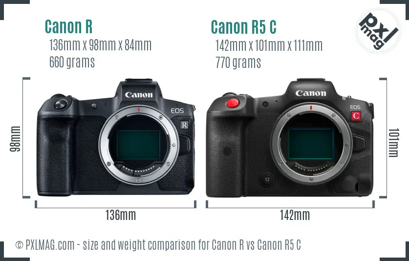 Canon R vs Canon R5 C size comparison