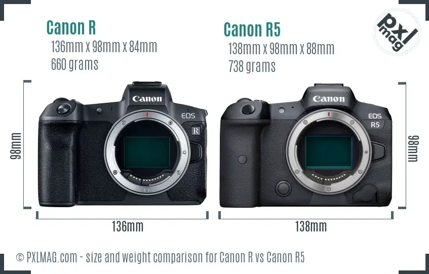 Canon R vs Canon R5 size comparison