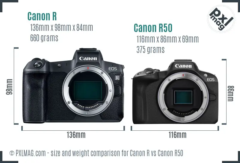 Canon R vs Canon R50 size comparison