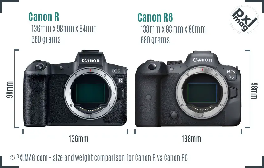 Canon R vs Canon R6 size comparison