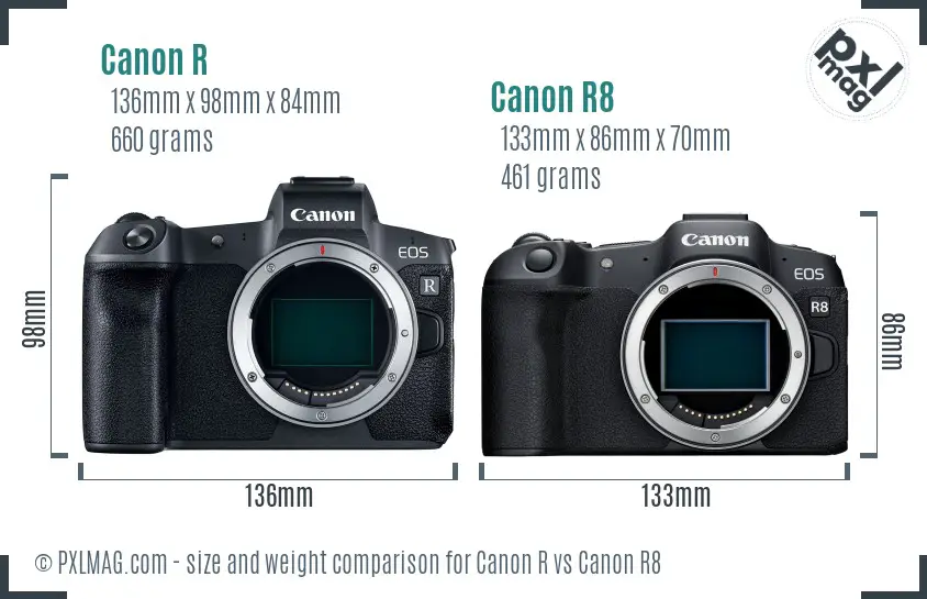 Canon R vs Canon R8 size comparison