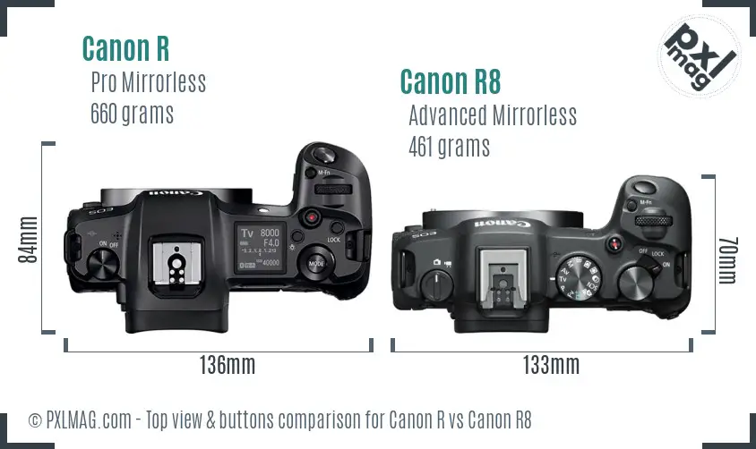 Canon R vs Canon R8 top view buttons comparison