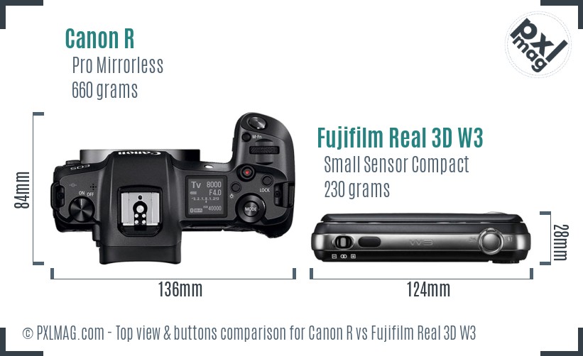 Canon R vs Fujifilm Real 3D W3 top view buttons comparison