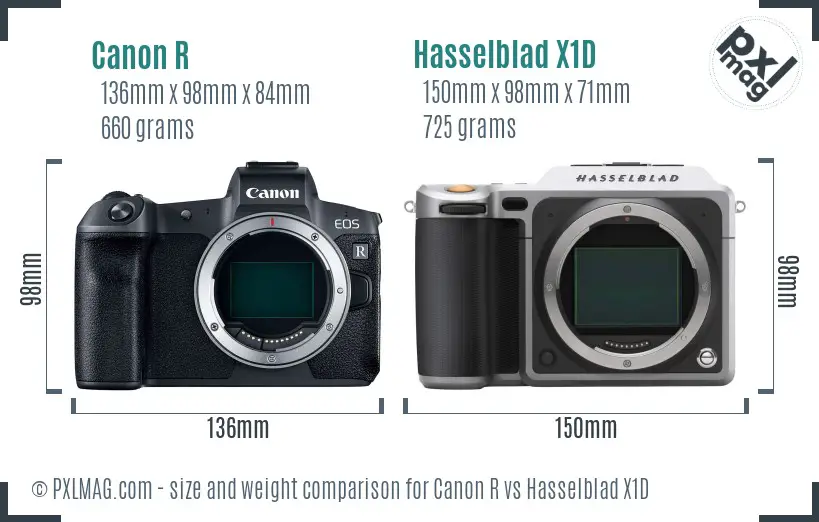 Canon R vs Hasselblad X1D size comparison