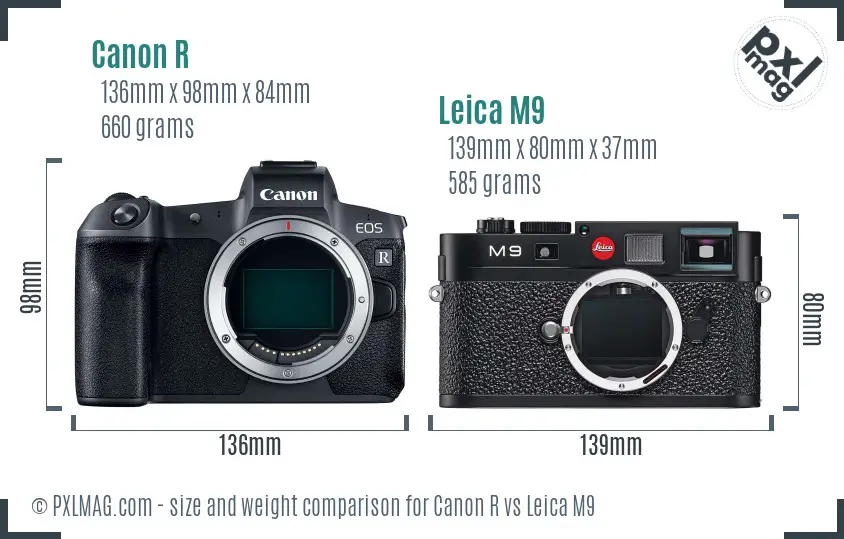 Canon R vs Leica M9 size comparison