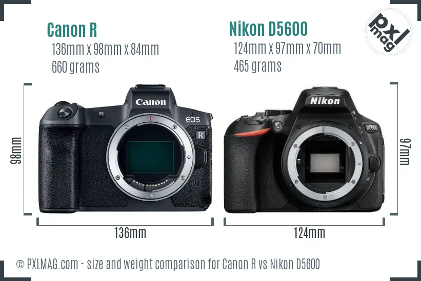 Canon R vs Nikon D5600 size comparison