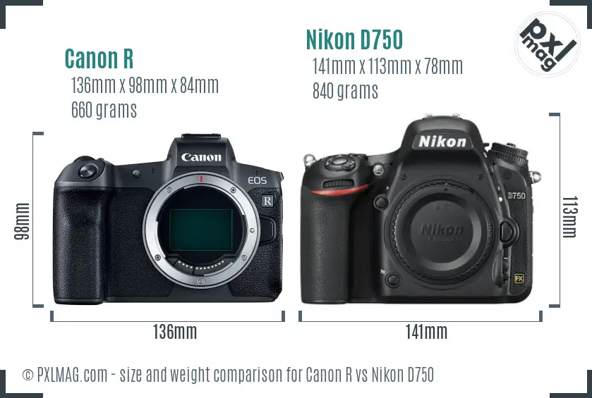 Canon R vs Nikon D750 size comparison Canon R vs Nikon D750 size comparison
