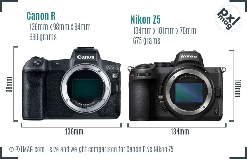Canon R vs Nikon Z5 size comparison