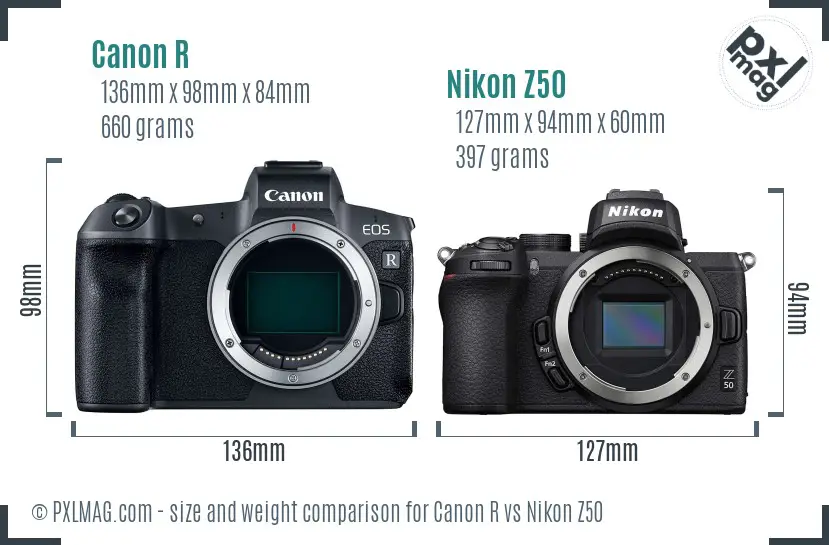 Canon R vs Nikon Z50 size comparison
