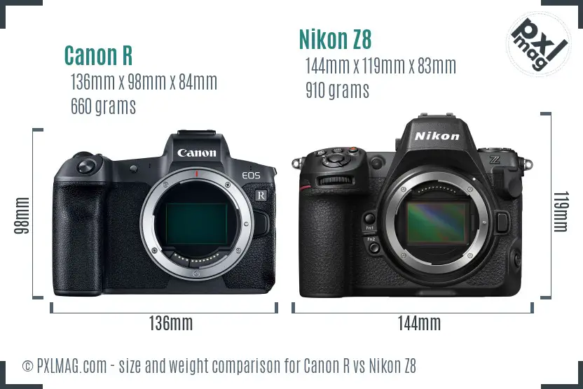 Canon R vs Nikon Z8 size comparison