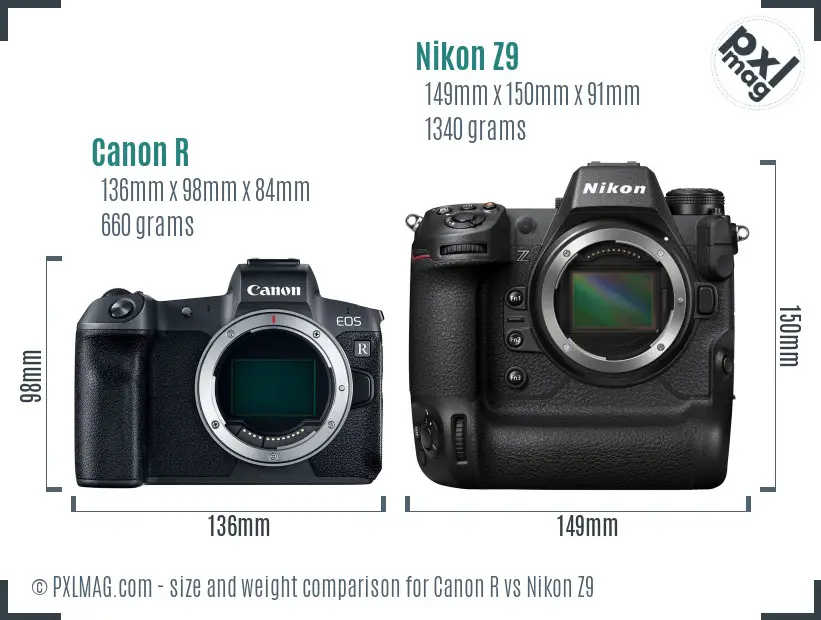 Canon R vs Nikon Z9 size comparison