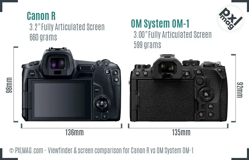 Canon R vs OM System OM-1 Screen and Viewfinder comparison