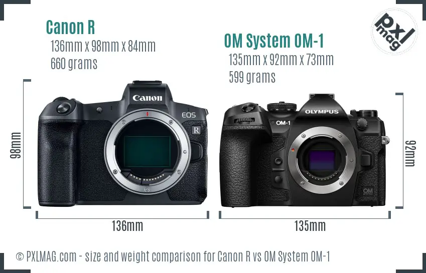 Canon R vs OM System OM-1 size comparison