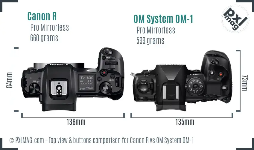 Canon R vs OM System OM-1 top view buttons comparison