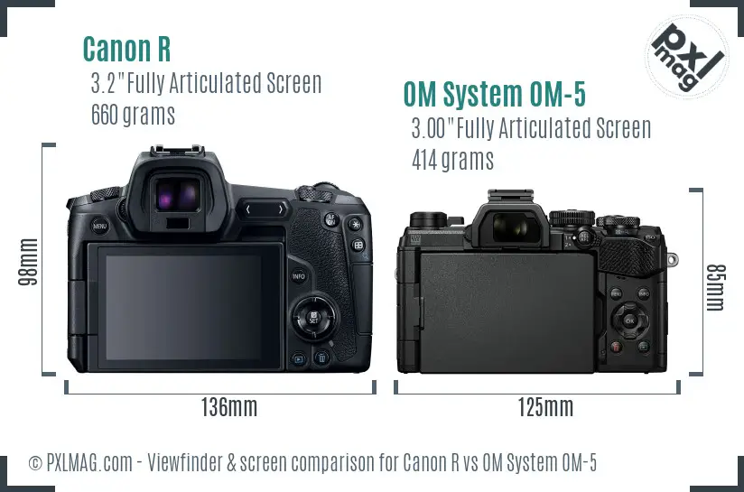 Canon R vs OM System OM-5 Screen and Viewfinder comparison