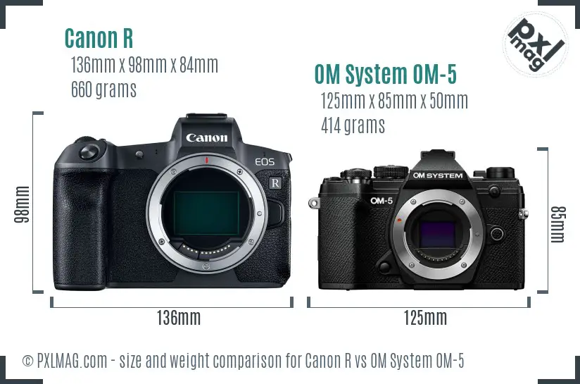 Canon R vs OM System OM-5 size comparison
