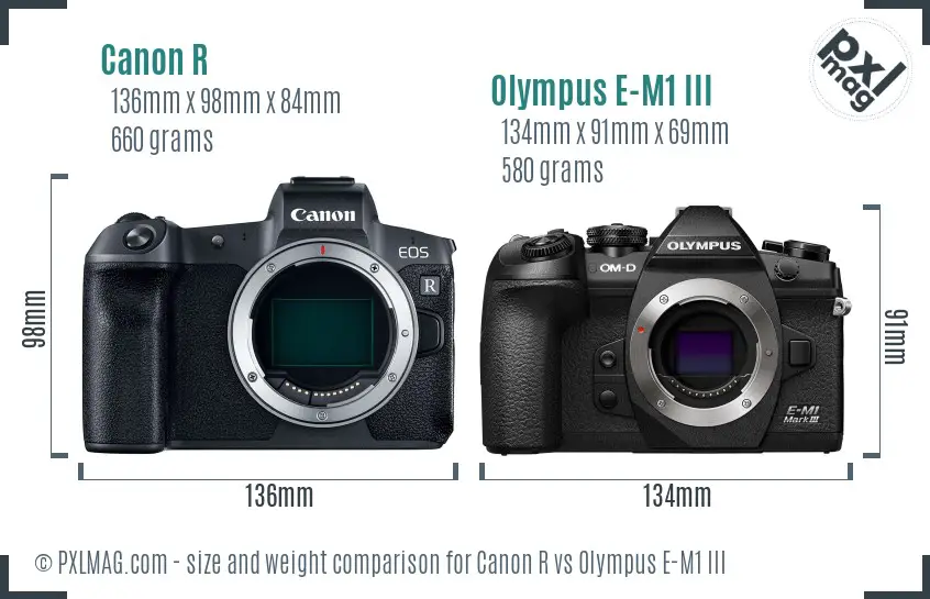Canon R vs Olympus E-M1 III size comparison