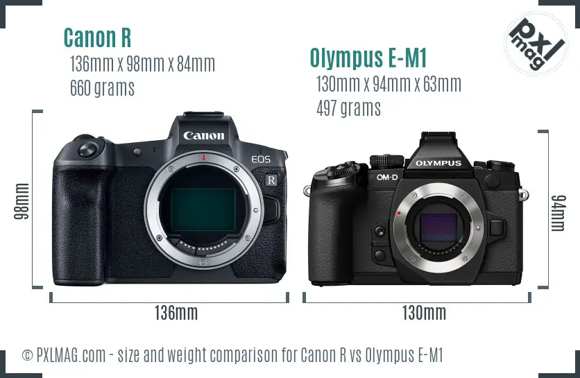 Canon R vs Olympus E-M1 size comparison Canon R vs Olympus E-M1 size comparison
