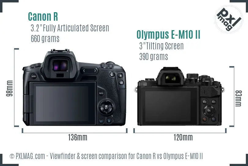 Canon R vs Olympus E-M10 II Screen and Viewfinder comparison