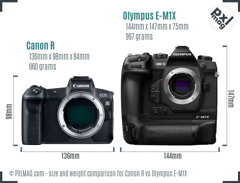 Canon R vs Olympus E-M1X size comparison