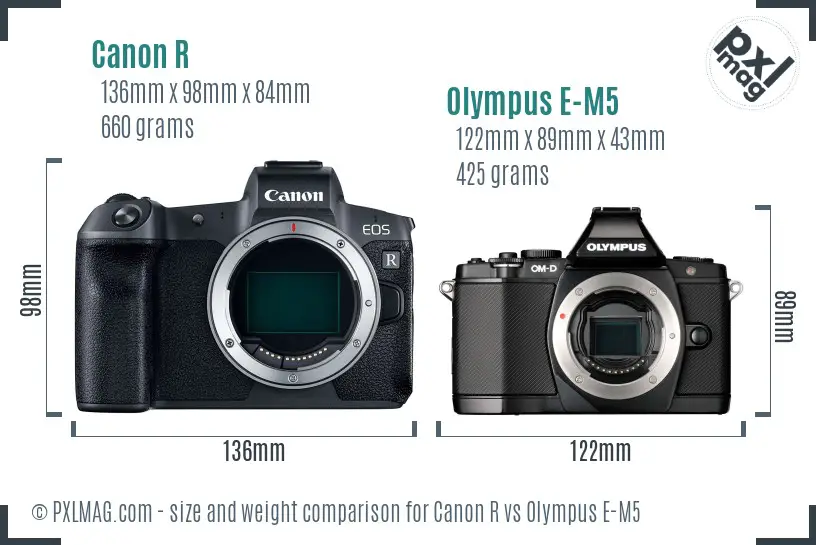 Canon R vs Olympus E-M5 size comparison