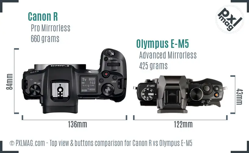 Canon R vs Olympus E-M5 top view buttons comparison