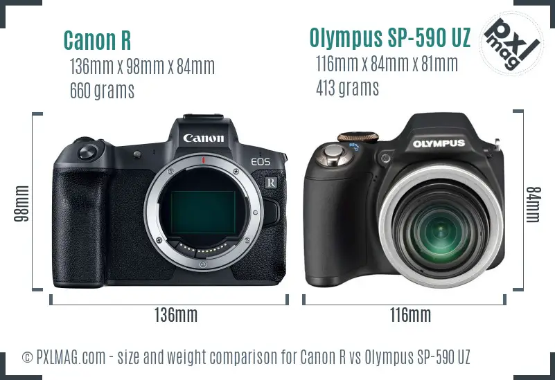 Canon R vs Olympus SP-590 UZ size comparison