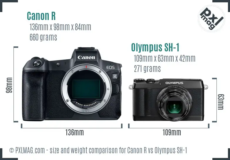 Canon R vs Olympus SH-1 size comparison