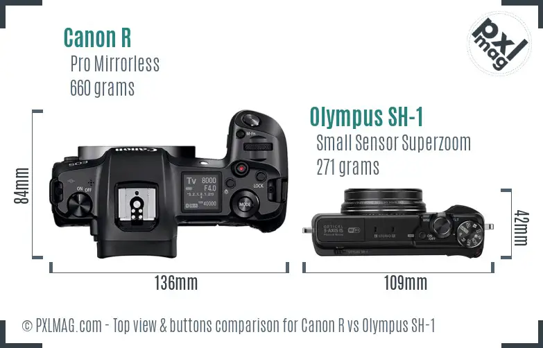 Canon R vs Olympus SH-1 top view buttons comparison