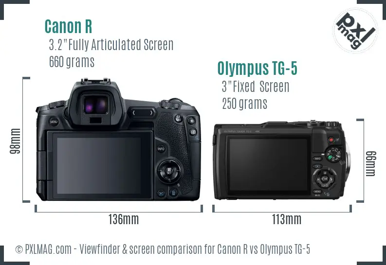 Canon R vs Olympus TG-5 Screen and Viewfinder comparison