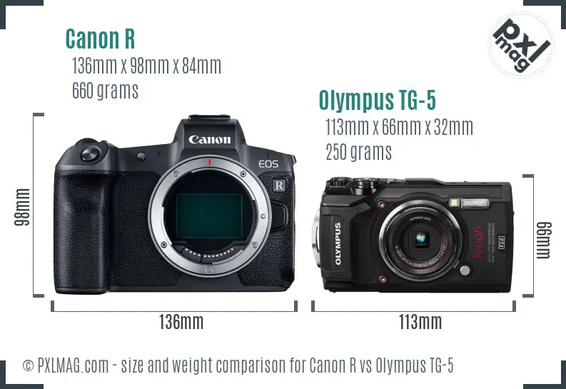 Canon R vs Olympus TG-5 size comparison