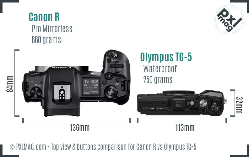 Canon R vs Olympus TG-5 top view buttons comparison